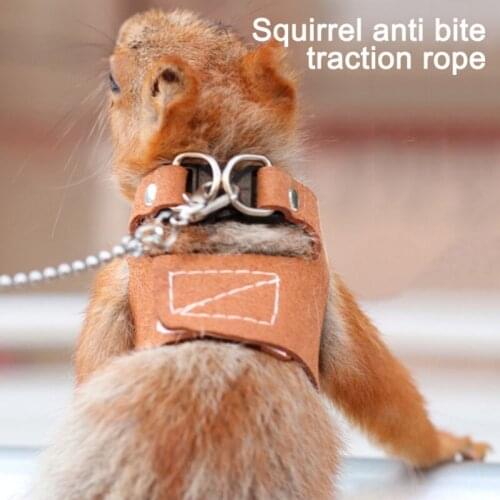 Pet Squirrel Leashes Adjustable Ferret Harness/Baby Rabbit/Hamster Rat Mouse Leash Lead Rope Small Pet Training Leash Pet suppl