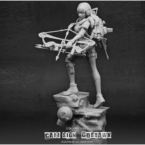 1:24 Resin Figure Modle Archer 75mm Call Sign Goshawk R95