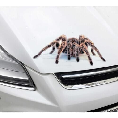 3D PVC Car Sticker Lizard Scorpion Spider Car Body Window Sticker Decal TUE88