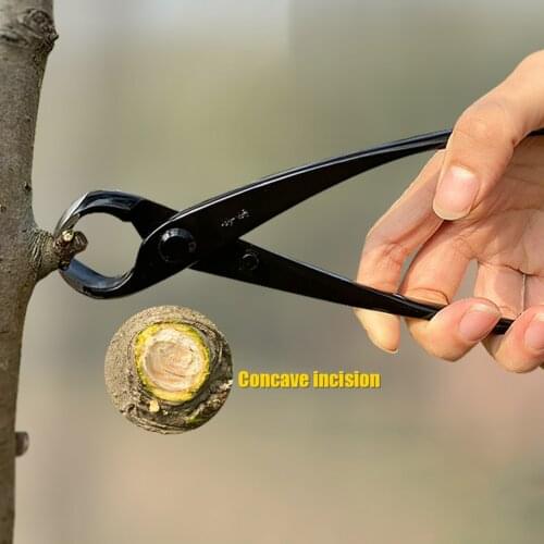 8.27in Professional Branch Cutter Professional Bonsai Tools Heavy Duty Concave Cutter Knob Cutter Plants Pruner Scissors Knife