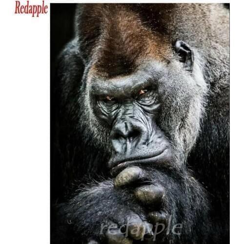 Orangotango pattern Diamond Painting animal DIY 3D Diamond Embroidery sale hobby art Cross Stitch Mosaic Picture by Number decor