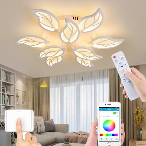 New LED ceiling lamp modern bedroom living room chandelier remote control lighting corridor lamp factory direct sales