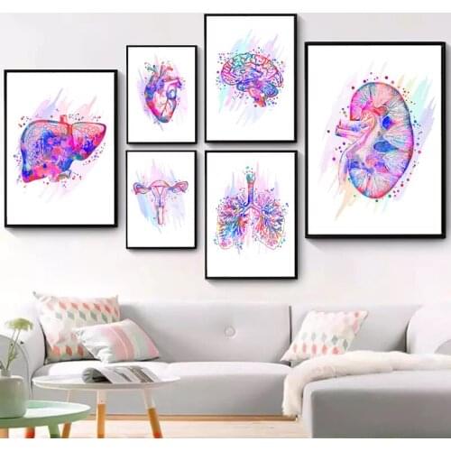 Modern Abstract Human Body art Poster Organ Education Watercolor Painting Oil Painting Furniture Living Room Decoration Painting