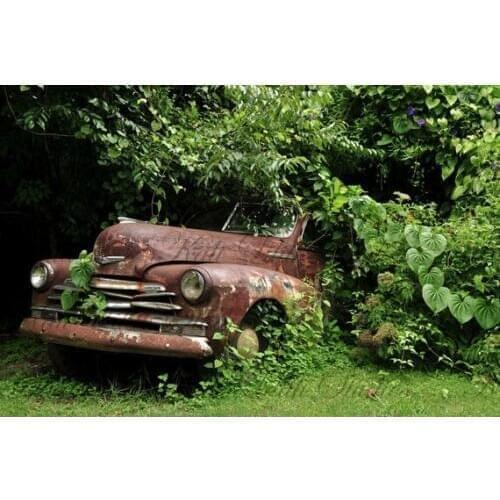 Vintage Car Antique Trucks Classic green plant photo backdrop Computer print children kids background