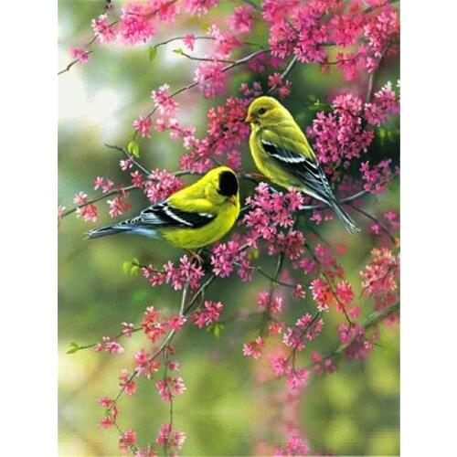 Bird Animal Pre-Printed 11CT Cross-Stitch DIY Embroidery Kit DMC Threads Hobby Sewing Needlework Painting Needle Promotions