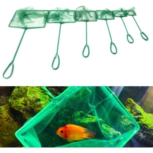 1PC Green Aquarium Fish Tank Square Shrimp Small Betta Tetra Fish Net 3"-10" 6 Sizes