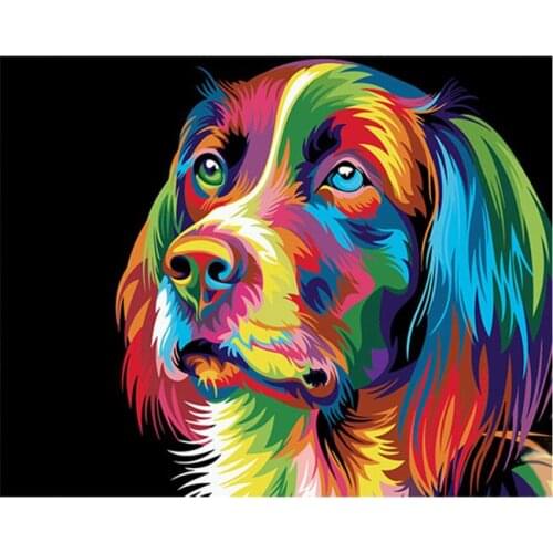 DRAWJOY Colorful Dog Animal Framed Picture Painting & Calligraphy DIY Painting By Numbers Coloring By Numbers
