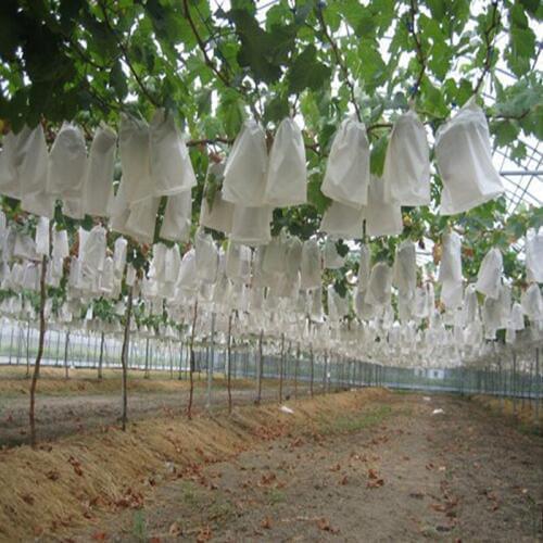 100Pcs/Lot Garden Vegetable Grapes Apples Fruit Protection Bag Pouch Agricultural Pest Control Anti-Bird Mesh Bags