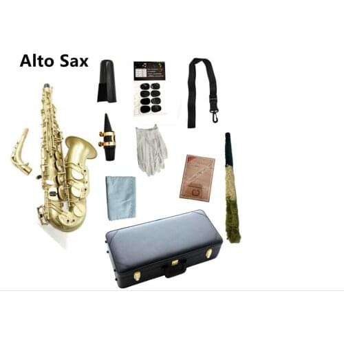 Alto Saxophone Eb Tune in Matte Finish Antique Copper Professional Musical Instrument With Case Mouthpiece Free Shipping