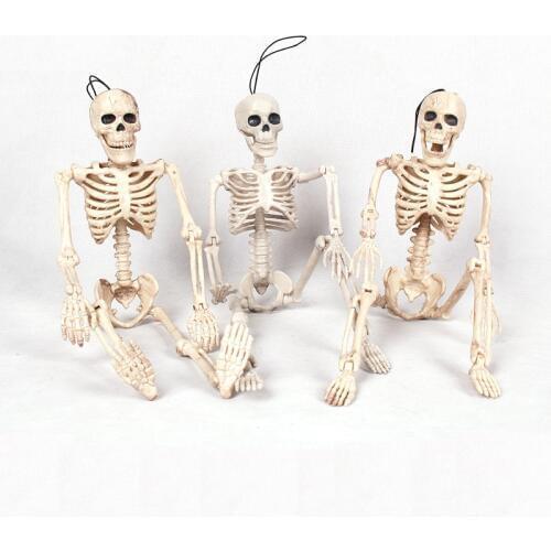 Skeleton Human Model Skull Full Body Anatomy Learn Skeleton Model Medical Human Anatomical Anatomy Bone Toy Halloween Decoration