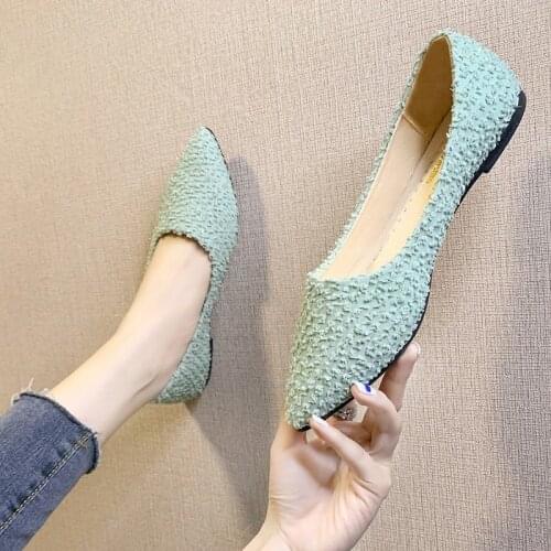 Pointed Shallow Mouth Shoes Women 2021 Spring and Autumn New All-match Flat-bottomed Soft-soled Working Womens Shoes