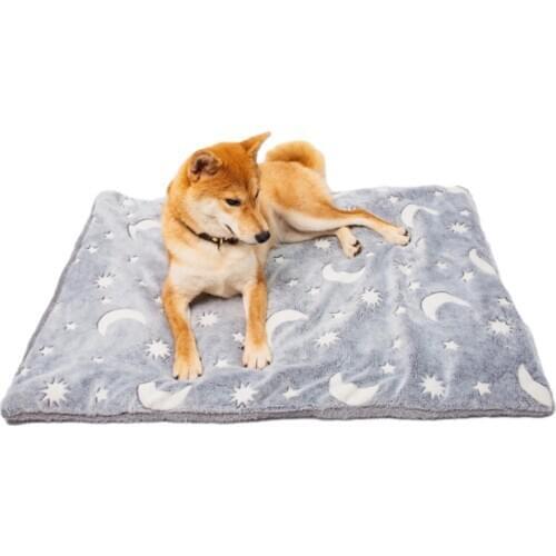 Comfortable Winter Bright Luminous Glow In The Dark Cat Blanket Anti-slip Soft Pets Cushion For Gift Beds Sofas