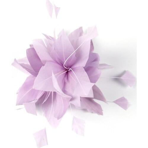 Clip Headdress Accessory/Polyamide Fascinators with Feather/ Bridal Hair Pin 1pc Wedding / Special Occasion /Tea Party Headpiece