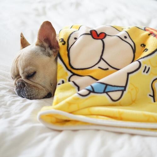 New Pet Blanket Deep Sleep Flannel Puppy Blanket Thickening Small Quilt Autumn and Winter Warm Sleeping Blanket Pet Mat