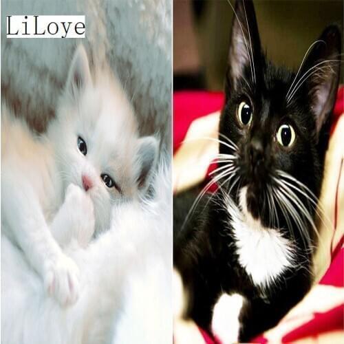 LI LOYE Diamond embroidery Cute cat mosaic painting crystal Mosaic picture Drill 5D DIY diamond painting Cross stitch Gift FZ87