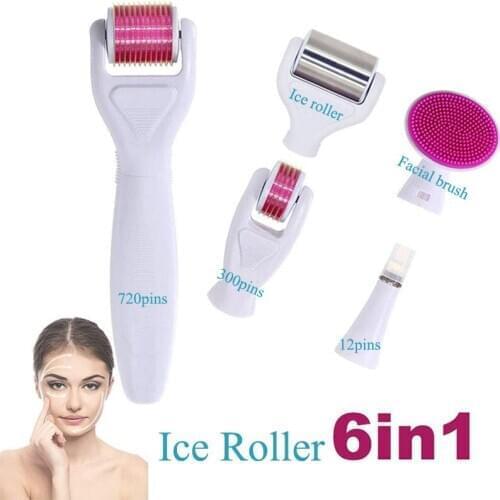 DRS 6 In1 Ice DermaRoller kit Stainless Ice Roller Skin Cooler Massage Derma roller faceroller bodyroller microneedling kit