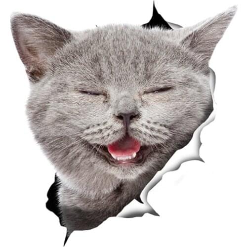 Dawasaru 3D Cat Stickers Laughing Grey Cat Sticker for Car Luggage Skateboard Motorcycle Laptop Waterproof Sticker