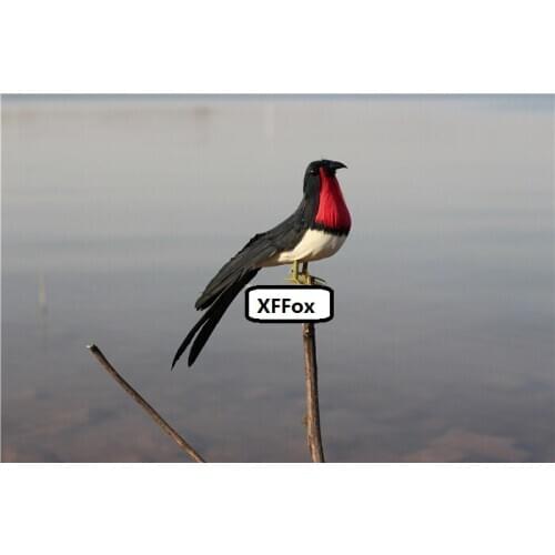 Cute real life Swallow model foam&furs simulation black&red bird doll gift about 22cm xf2574