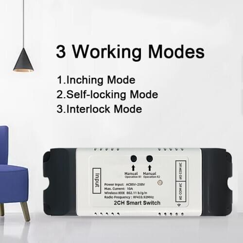 Wifi Smart Garage Door Opener eWeLink APP Control 2 Channel Smart Switch DC 7-32V AC85-220V Work With Alexa Echo Google Home