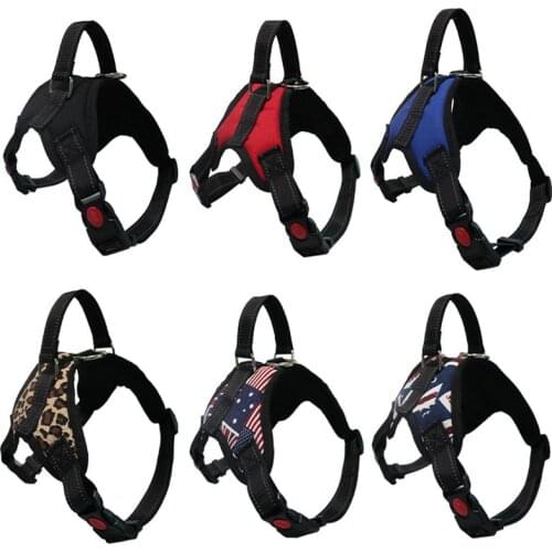 Personalized Pet Adjustable Harnesses Vest Soft Mesh Chest Strap Harness Pet Training Supplies Outdoor Walking Lead Leashs