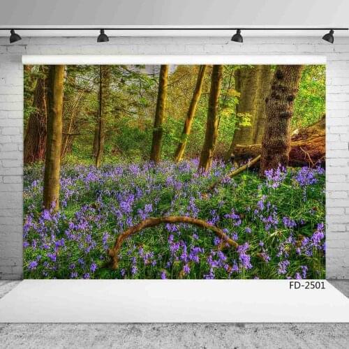 Lavender forest scenery photo background photo background