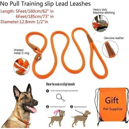 Durable Slip Rope Dog Leash Collar 2 In 1 Adjustable Loop Collar Comfortable Small Meidum Large Pet Harness Leash Pet supplies