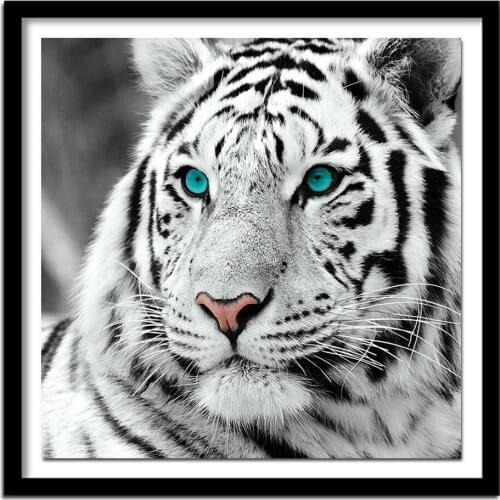 Full round diamond embroidery animal Beast 5d diy diamond painting cross stitch Tiger bead Full square Diamond Cat sale