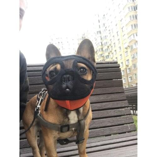 Dog Muzzles Pet Mask Portable Adjustable 1 PC Short Snout French Bulldog Breathable Mesh Pet supplies Pet Muzzles