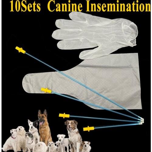 10Set Canine Artificial Insemination Kit Pet Dog Sperm Collect Bags Semen Deposition Tube Pipe Gloves Catheter Disposable