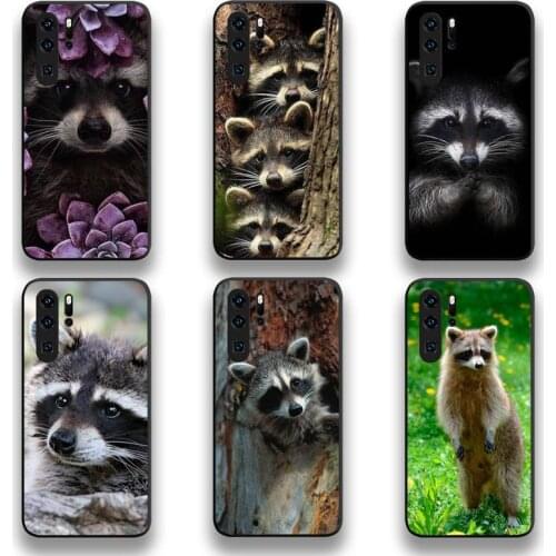 Animal Raccoon Phone Case For Huawei P20 P30 P40 lite E Pro Mate 40 30 20 Pro P Smart 2020
