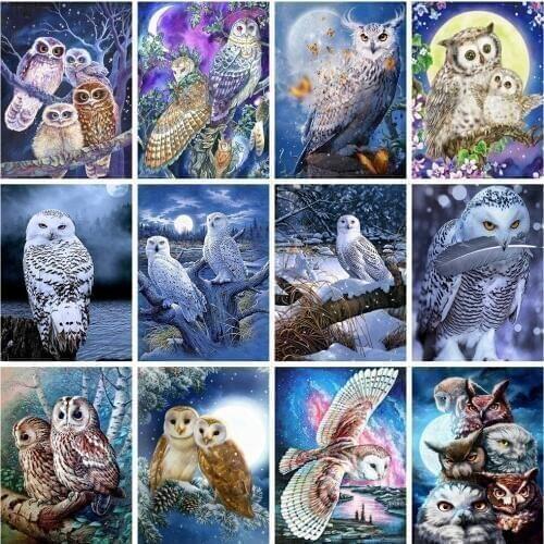Evershine 5D Diamond Painting Owl Full Square Diamond Embroidery Animals Cross Stitch Mosaic Rhinestone Crafts Kit Home Decor