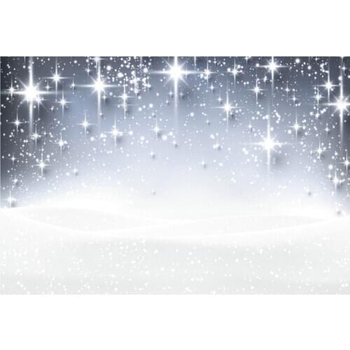 Shining Stars Silver Gray Backdrop Background Newborns Wedding Photography Xmas Family Holiday Party Decoration Photo Booth