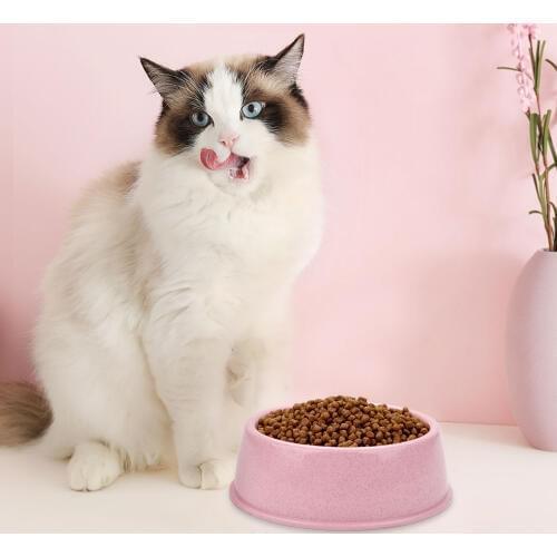 1PCS New Pet Bowl Easy to Clean Wheat Straw Pet Food Bowl Pet Feeding Bowl Non-slip Food Bowl Dish for Cats Dogs Supplies