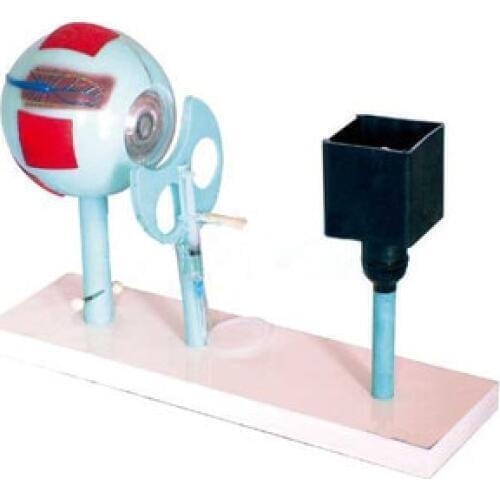 Eye instrument model Eye imaging Demo free shipping