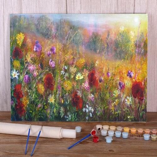 Natural Scenery Wild Glory Painting By Numbers Package Acrylic Paints 40*50 Boards By Numbers Loft Picture For Adults Art