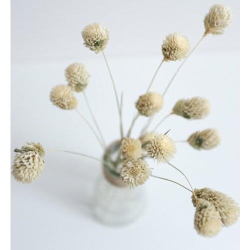 1Bunch Real Dried Flowers Preserved Amaranth Bouquet DIY Floral Arrangement Creative Gifts Home Table Wedding Modern Decoration