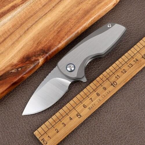 Mini high hardness titanium alloy handle 14C28N blade sharp outdoor camping tactics hunting self-defense fruit folding knife