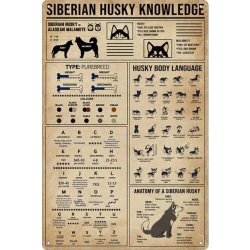 Dog Tin Sign Vintage Siberian Husky Knowledge Poster Toilet Bathroom Bar Kitchen Club Coffee Shop Home Wall Decoration