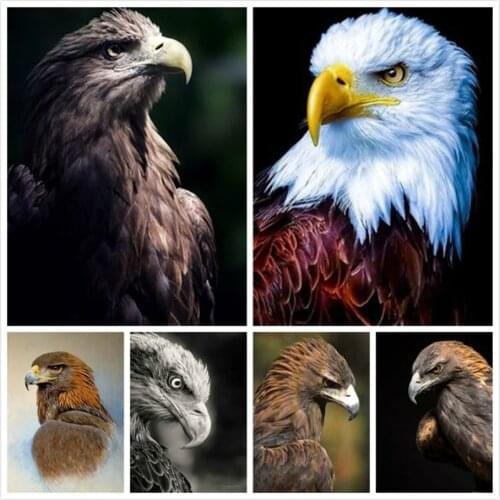 LZAIQIZG 5D Diamond Painting Full Square/Round Hawk Eagle Falcon Diamond Mosaic Embroidery Animal Rhinestone Picture Home Decor