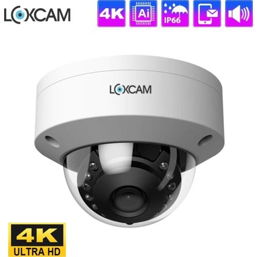 LOXCAM Hidden CCTV Cameras