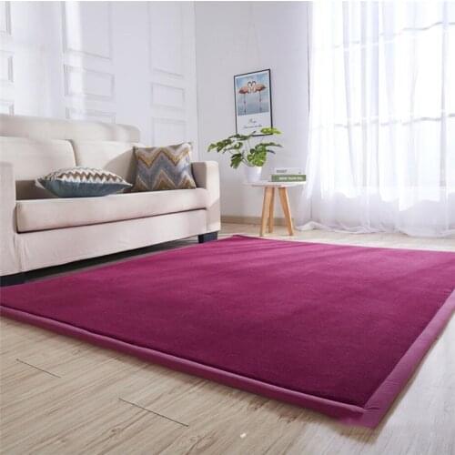 Thick Coral Velvet Carpet Tatami Mat Bedroom Living Room Bay Window Carpet Baby Anti-fall Crawling Mat