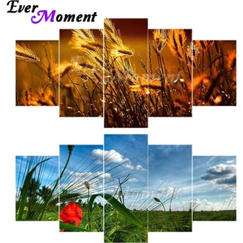 Ever Moment Diamond Painting Paint By Diamond Multi-picture Full Square Resin Drill Handmade Decoration Scenic Nature Gift 1M022