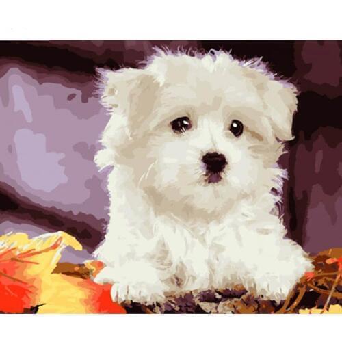 DIY Digital Painting By Numbers peas dog oil painting mural Kits Coloring Wall Art Picture Gift frameless
