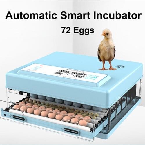Automatic Digital 72 Eggs Incubator Hatcher Large Capacity Practical Incubators For Poultry Quail Eggs Home Hatching Machine