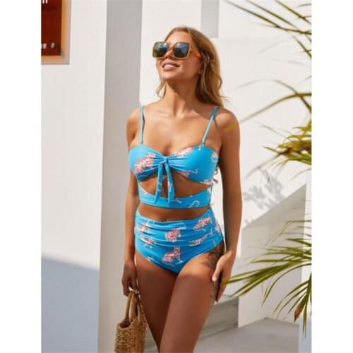 Women Split Swimsuit Set Animal Print Hollow Out Deep V-neck Bikini and High Waist Panties for Summer Women Wetsuit Bathing Suit