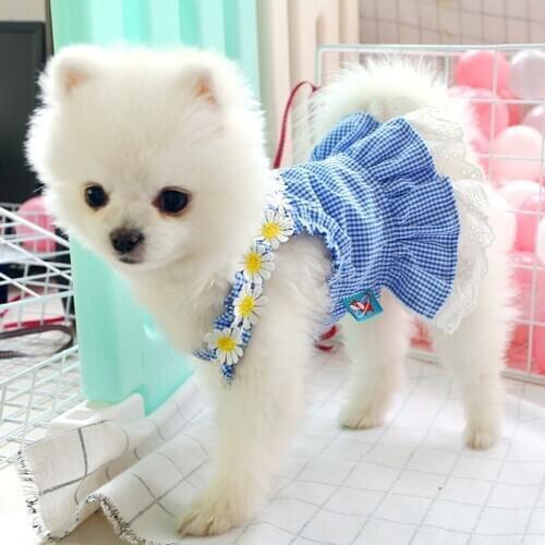 Dog Dress Mini Blue Grid Sun Lace Skirt Spring Summer Pets Outfits Dog Clothes For Small Dog Party Dog Skirt Puppy Pet Costume