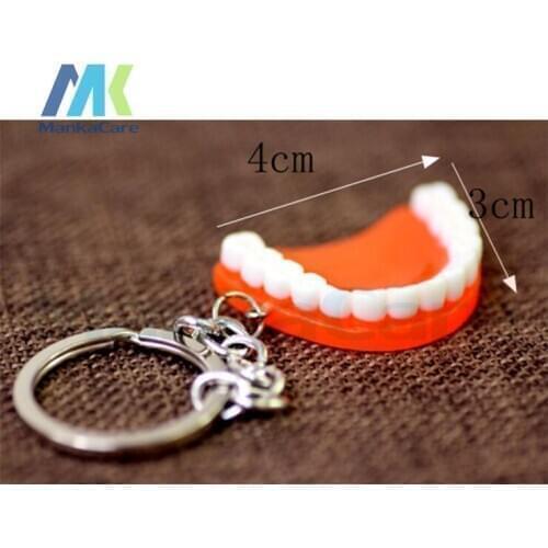 30/60 Pcs Simulation teeth / gums keychain creative gifts fashion gift small business dental hospitals and clinics
