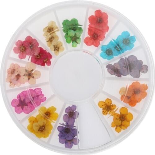 12 Colors Real Dry Dried Flower for 3D UV Gel Acrylic False Tips Nail Art Salon