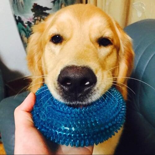 Rubber ball for Dogs Bite Resistant Toy Molar Cleaning Pet Toys Sound Ball with Whistle Durable Chewing Toys