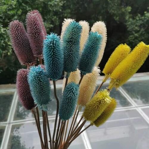 5pcs,Nature Dried Flower Teasel Bunch,Eternal display flower for Wedding home Decoration accessories,Flower arrangement favor